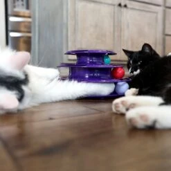 Quirky Kitty Three Layer Ball Track Cat Toy 9 Quirky Kitty Three Layer Ball Track Cat Toy -Furry Friends 900102 PT4. AC SS1800 V1689010871