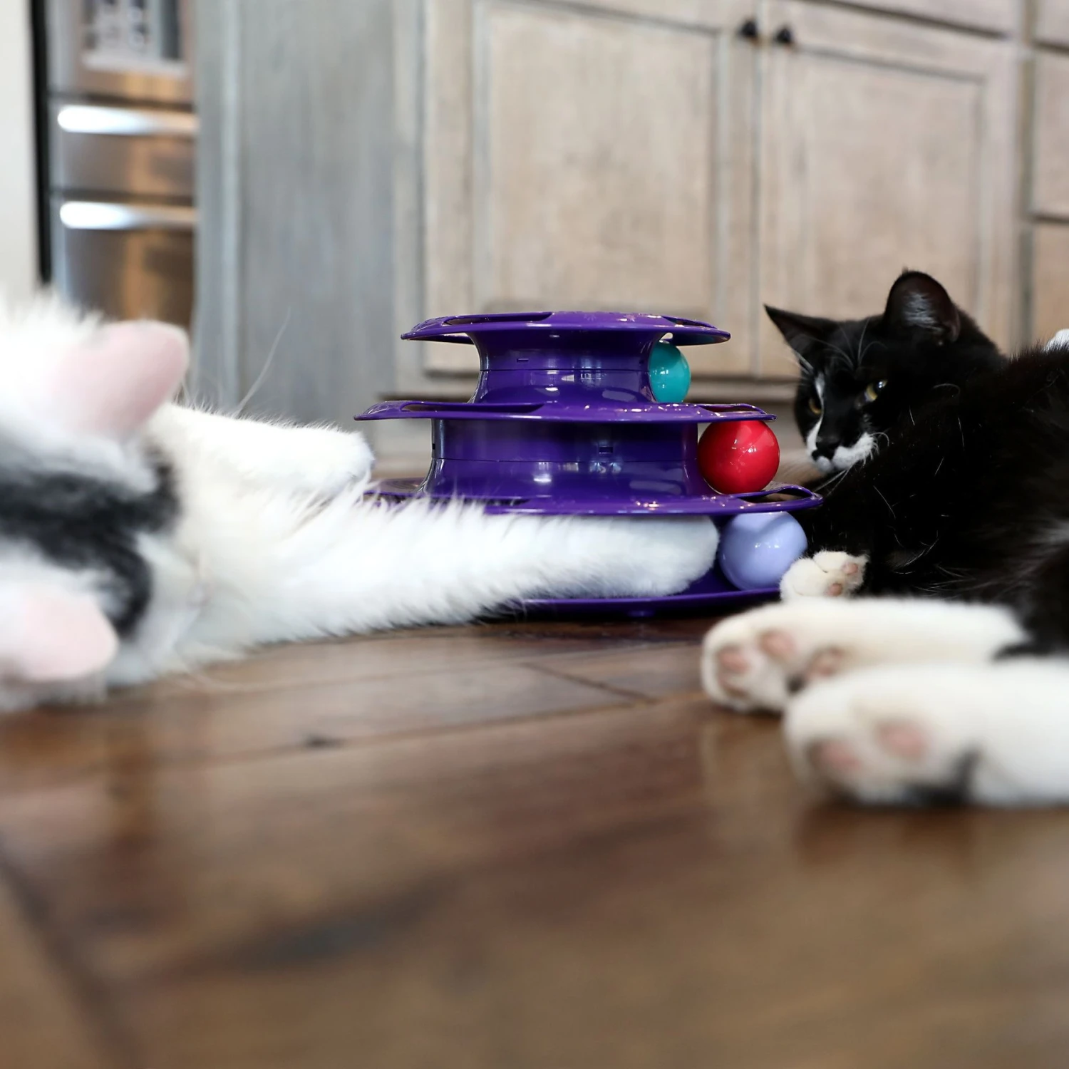 Quirky Kitty Three Layer Ball Track Cat Toy 6 Quirky Kitty Three Layer Ball Track Cat Toy - Image 4