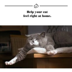 ThunderEase Calming Spray For Cats -Furry Friends 90025 PT5. AC SS1800 V1508262120