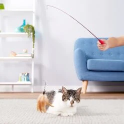 Ethical Pet Telescoping Kitty Teaser Cat Toy -Furry Friends 90235 PT2. AC SS1800 V1576091290