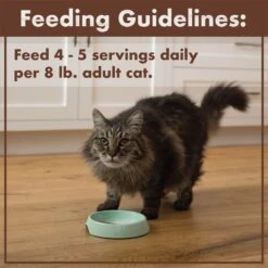 Nutro Perfect Portions Grain-Free Salmon & Chicken Pate Recipe Adult Wet Cat Food Trays -Furry Friends 90620 PT7. AC SS1800 V1702678674