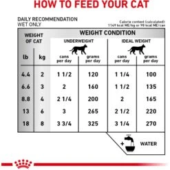 Royal Canin Veterinary Diet Adult Renal Support D Thin Slices In Gravy Canned Cat Food -Furry Friends 90652 PT4. AC SS1800 V1701882438