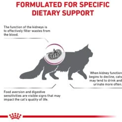 Royal Canin Veterinary Diet Adult Renal Support A Dry Cat Food -Furry Friends 90662 PT4. AC SS1800 V1701882442
