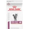Royal Canin Veterinary Diet Adult Renal Support S Dry Cat Food -Furry Friends 90671 MAIN. AC SS1800 V1701881109