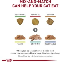 Royal Canin Veterinary Diet Adult Renal Support S Dry Cat Food 16 Royal Canin Veterinary Diet Adult Renal Support S Dry Cat Food -Furry Friends 90671 PT5. AC SS1800 V1701881777