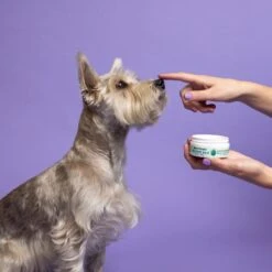 Earthbath Cat & Dog Treatment Balm, 2.2-oz -Furry Friends 910190 PT4. AC SS1800 V1700859495