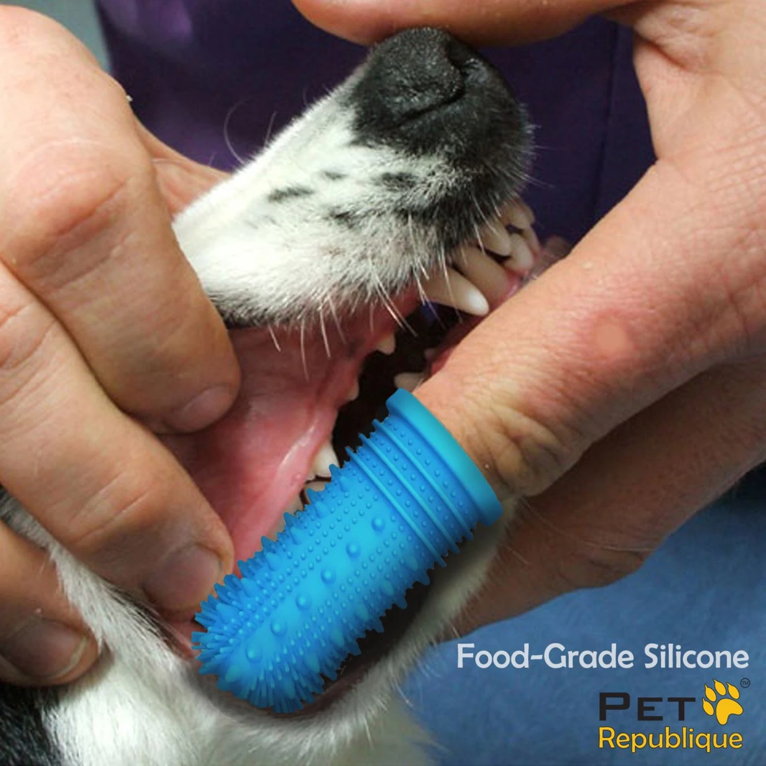 Pet Republique 360-Degree Finger Toothbrush For Dogs & Cats, 3 Count 4 Pet Republique 360-Degree Finger Toothbrush For Dogs & Cats, 3 Count - Image 2