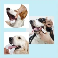 Pet Republique Soft Fabric Finger Toothbrush For Dogs, Cats, & Small Pets, 6 Count -Furry Friends 911630 PT2. AC SS1800 V1691181370