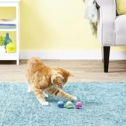 KONG Tennis Balls With Bells Cat Toy 17 KONG Tennis Balls With Bells Cat Toy -Furry Friends 91319 PT7. AC SS1800 V1603147294