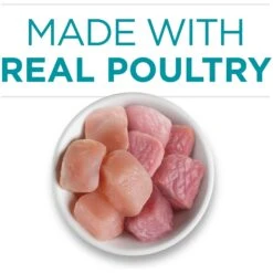 Purina ONE True Instinct Chicken & Turkey Recipe In Gravy Natural High Protein Canned Cat Food, 3-oz, Case Of 24 -Furry Friends 91559 PT3. AC SS1800 V1653491482