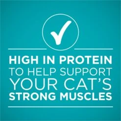 Purina ONE True Instinct Chicken & Turkey Recipe In Gravy Natural High Protein Canned Cat Food, 3-oz, Case Of 24 -Furry Friends 91559 PT5. AC SS1800 V1653531682