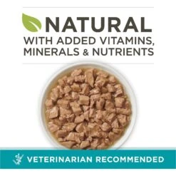 Purina ONE True Instinct Salmon & Trout Recipe In Sauce Natural High Protein Canned Cat Food -Furry Friends 91561 PT1. AC SS1800 V1653493286