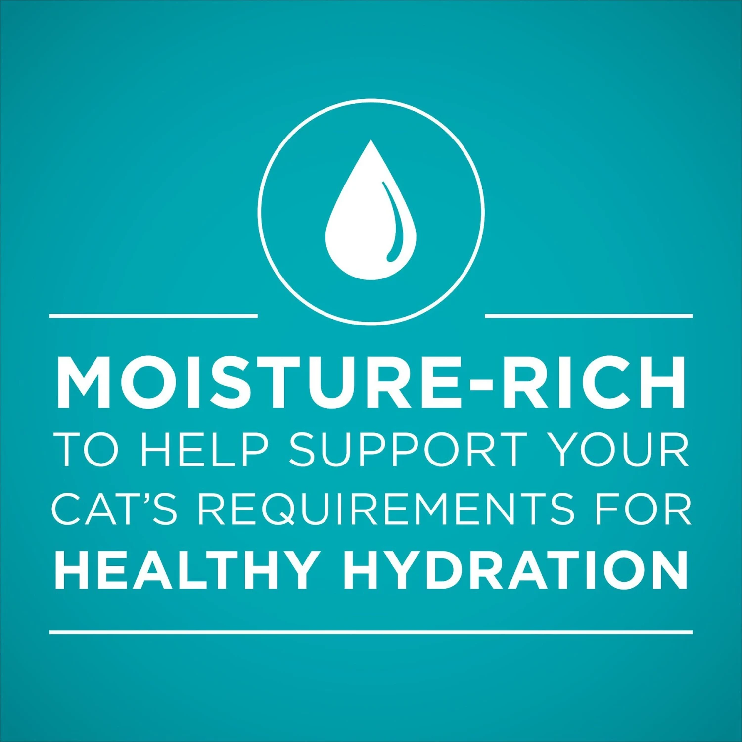 Purina ONE True Instinct Chicken Recipe In Gravy Natural High Protein Canned Cat Food, 3-oz, Case Of 24 5 Purina ONE True Instinct Chicken Recipe In Gravy Natural High Protein Canned Cat Food, 3-oz, Case Of 24 - Image 3