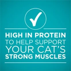 Purina ONE True Instinct Chicken Recipe In Gravy Natural High Protein Canned Cat Food, 3-oz, Case Of 24 16 Purina ONE True Instinct Chicken Recipe In Gravy Natural High Protein Canned Cat Food, 3-oz, Case Of 24 -Furry Friends 91563 PT5. AC SS1800 V1657661112
