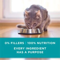 Purina ONE True Instinct Chicken Recipe In Gravy Natural High Protein Canned Cat Food, 3-oz, Case Of 24 17 Purina ONE True Instinct Chicken Recipe In Gravy Natural High Protein Canned Cat Food, 3-oz, Case Of 24 -Furry Friends 91563 PT6. AC SS1800 V1657661112