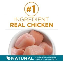 Purina ONE Tender Selects Blend With Real Chicken Dry Cat Food 13 Purina ONE Tender Selects Blend With Real Chicken Dry Cat Food -Furry Friends 91682 PT2. AC SS1800 V1677529298