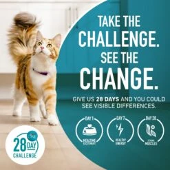 Purina ONE Tender Selects Blend With Real Chicken Dry Cat Food 18 Purina ONE Tender Selects Blend With Real Chicken Dry Cat Food -Furry Friends 91682 PT7. AC SS1800 V1677531731