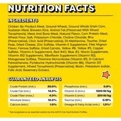 Temptations Block Party BBQ Flavor Adult Dry Cat Food 16 Temptations Block Party BBQ Flavor Adult Dry Cat Food -Furry Friends 916910 PT5. AC SS1800 V1689970938