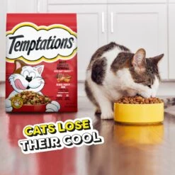Temptations Block Party BBQ Flavor Adult Dry Cat Food 18 Temptations Block Party BBQ Flavor Adult Dry Cat Food -Furry Friends 916910 PT7. AC SS1800 V1689970360