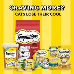 Temptations Block Party BBQ Flavor Adult Dry Cat Food 19 Temptations Block Party BBQ Flavor Adult Dry Cat Food -Furry Friends 916910 PT8. AC SS1800 V1689970366