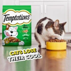 Temptations Seafood Medley Flavor Adult Dry Cat Food -Furry Friends 916942 PT7. AC SS1800 V1689970292