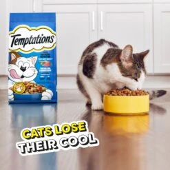 Temptations Tempting Tuna & Chicken Flavor Adult Dry Cat Food 18 Temptations Tempting Tuna & Chicken Flavor Adult Dry Cat Food -Furry Friends 917006 PT7. AC SS1800 V1689970945