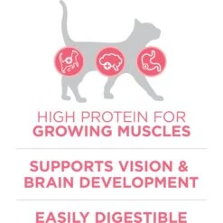 Purina ONE +Plus Healthy Kitten Formula Natural Dry Cat Food -Furry Friends 91700 PT3. AC SS1800 V1679673105