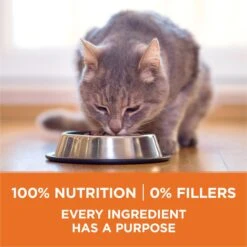 Purina ONE +Plus Ideal Weight Natural High Protein Adult Dry Cat Food -Furry Friends 91703 PT5. AC SS1800 V1677535321