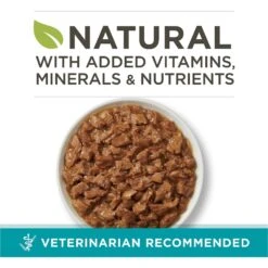 Purina ONE True Instinct Tuna Recipe In Sauce Natural High Protein Canned Cat Food, 3-oz, Case Of 24 -Furry Friends 91713 PT1. AC SS1800 V1653500188