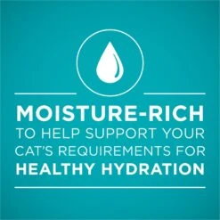 Purina ONE True Instinct Tuna Recipe In Sauce Natural High Protein Canned Cat Food, 3-oz, Case Of 24 -Furry Friends 91713 PT2. AC SS1800 V1657661113