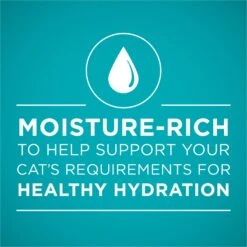 'Purina ONE Natural Weight Control Ideal Weight Tender Salmon Recipe Wet Cat Food -Furry Friends 91747 PT2. AC SS1800 V1658192686