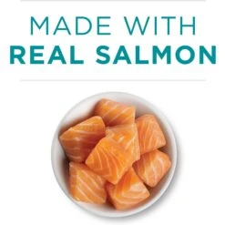 'Purina ONE Natural Weight Control Ideal Weight Tender Salmon Recipe Wet Cat Food -Furry Friends 91747 PT3. AC SS1800 V1658218560