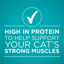 'Purina ONE Natural Weight Control Ideal Weight Tender Salmon Recipe Wet Cat Food -Furry Friends 91747 PT5. AC SS1800 V1658207462