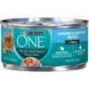 Purina ONE Natural High Protein True Instinct Chicken & Salmon Recipe In Sauce Canned Cat Food -Furry Friends 91774 MAIN. AC SS1800 V1653428794