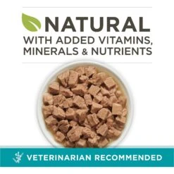 Purina ONE Natural High Protein True Instinct Chicken & Salmon Recipe In Sauce Canned Cat Food -Furry Friends 91774 PT1. AC SS1800 V1653491484