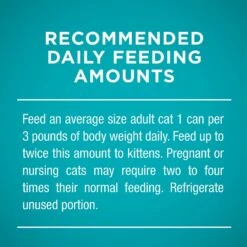Purina ONE Natural High Protein True Instinct Chicken & Salmon Recipe In Sauce Canned Cat Food -Furry Friends 91774 PT8. AC SS1800 V1543354708