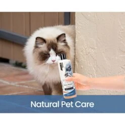 Gou Gou Pets Holistic Natural Derived Allergy Dog & Cat Shampoo, 16-oz Bottle -Furry Friends 917894 PT5. AC SS1800 V1694442985
