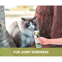 Gou Gou Pets Holistic Natural Derived Joint Inflammation Dog & Cat Shampoo, 16-oz Bottle 11 Gou Gou Pets Holistic Natural Derived Joint Inflammation Dog & Cat Shampoo, 16-oz Bottle -Furry Friends 917910 PT2. AC SS1800 V1695327557