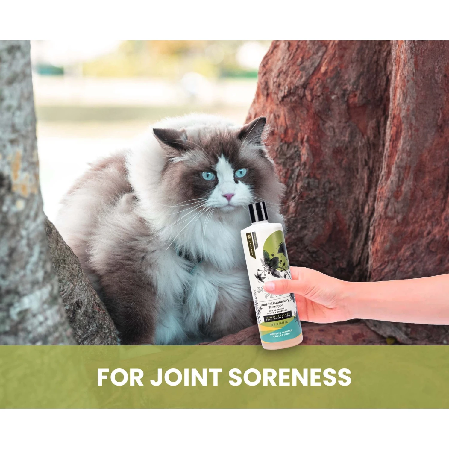 Gou Gou Pets Holistic Natural Derived Joint Inflammation Dog & Cat Shampoo, 16-oz Bottle 5 Gou Gou Pets Holistic Natural Derived Joint Inflammation Dog & Cat Shampoo, 16-oz Bottle - Image 3