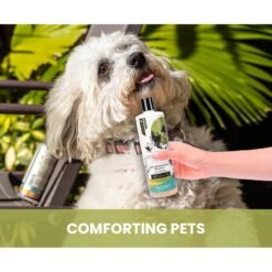 Gou Gou Pets Holistic Natural Derived Joint Inflammation Dog & Cat Shampoo, 16-oz Bottle 12 Gou Gou Pets Holistic Natural Derived Joint Inflammation Dog & Cat Shampoo, 16-oz Bottle -Furry Friends 917910 PT3. AC SS1800 V1695327564