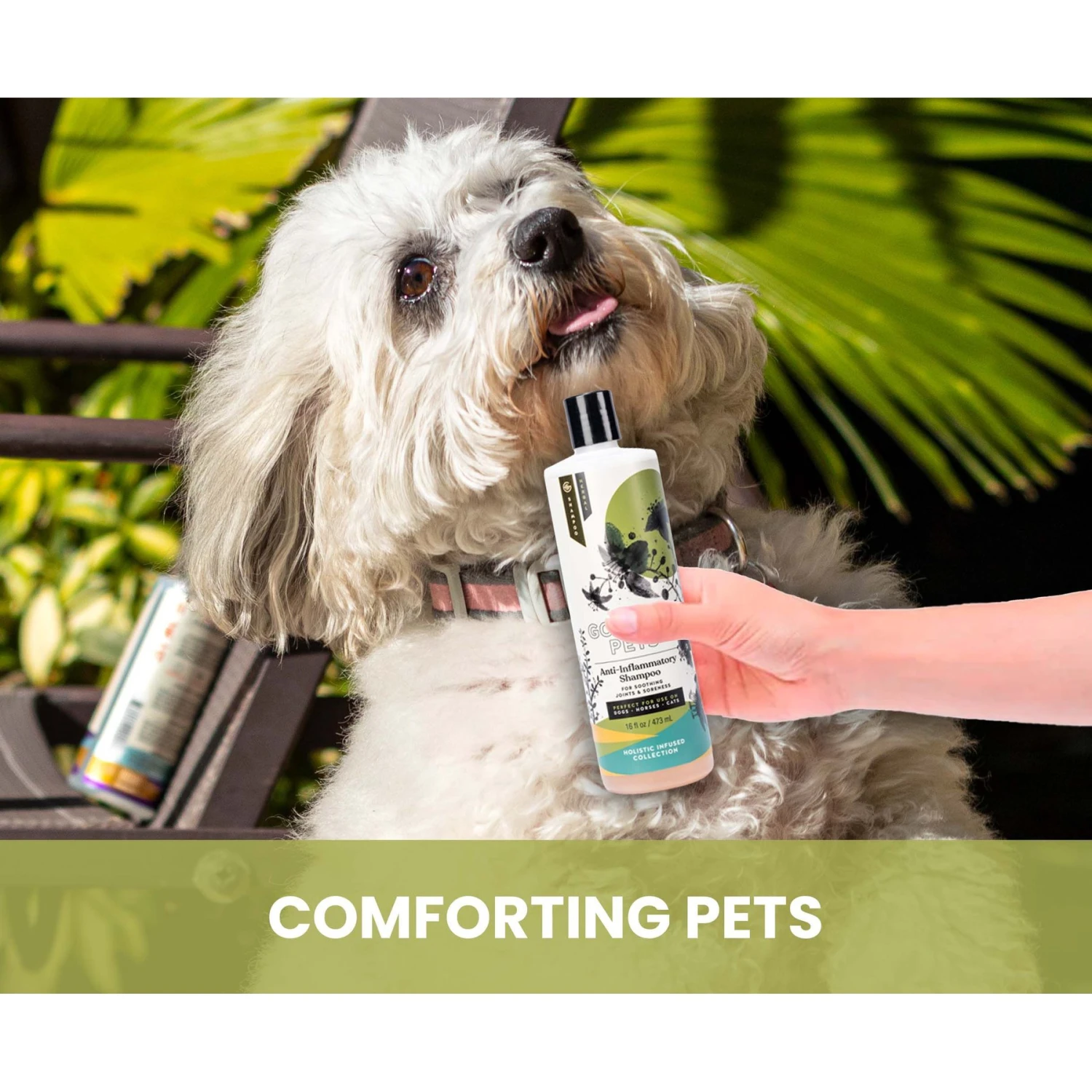 Gou Gou Pets Holistic Natural Derived Joint Inflammation Dog & Cat Shampoo, 16-oz Bottle 6 Gou Gou Pets Holistic Natural Derived Joint Inflammation Dog & Cat Shampoo, 16-oz Bottle - Image 4