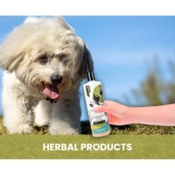 Gou Gou Pets Holistic Natural Derived Joint Inflammation Dog & Cat Shampoo, 16-oz Bottle 13 Gou Gou Pets Holistic Natural Derived Joint Inflammation Dog & Cat Shampoo, 16-oz Bottle -Furry Friends 917910 PT4. AC SS1800 V1695327557