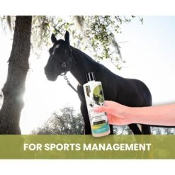 Gou Gou Pets Holistic Natural Derived Joint Inflammation Dog & Cat Shampoo, 16-oz Bottle 14 Gou Gou Pets Holistic Natural Derived Joint Inflammation Dog & Cat Shampoo, 16-oz Bottle -Furry Friends 917910 PT5. AC SS1800 V1695327558