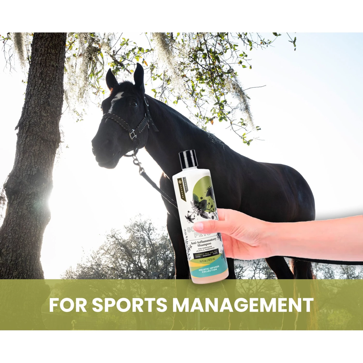 Gou Gou Pets Holistic Natural Derived Joint Inflammation Dog & Cat Shampoo, 16-oz Bottle 8 Gou Gou Pets Holistic Natural Derived Joint Inflammation Dog & Cat Shampoo, 16-oz Bottle - Image 6