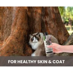 Gou Gou Pets Holistic Natural Derived Cherry Blossom & Green Tea Dog & Cat Shampoo, 16-oz Bottle -Furry Friends 917926 PT3. AC SS1800 V1694442989