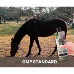 Gou Gou Pets Holistic Natural Derived Cherry Blossom & Green Tea Dog & Cat Shampoo, 16-oz Bottle -Furry Friends 917926 PT7. AC SS1800 V1694443049