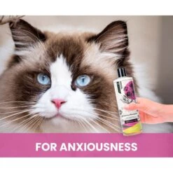 Gou Gou Pets Holistic Natural Derived Calming Dog & Cat Shampoo Anxiety, 16-oz Bottle -Furry Friends 917942 PT4. AC SS1800 V1694443043
