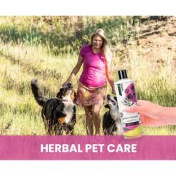 Gou Gou Pets Holistic Natural Derived Calming Dog & Cat Shampoo Anxiety, 16-oz Bottle -Furry Friends 917942 PT6. AC SS1800 V1694443414