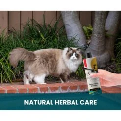 Gou Gou Pets Lemongrass Dog Shampoo, 16-oz Bottle -Furry Friends 917974 PT5. AC SS1800 V1694443046