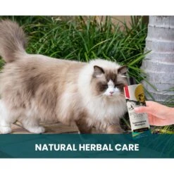 Gou Gou Pets Lemongrass Dog Shampoo, 16-oz Bottle -Furry Friends 917974 PT6. AC SS1800 V1694442985